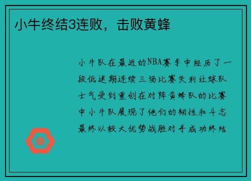 小牛终结3连败，击败黄蜂