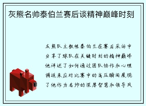灰熊名帅泰伯兰赛后谈精神巅峰时刻